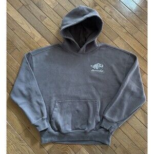 Hollister Avatar the Last Airbender Boxy Fit  Hoodie Size Small